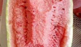 吃瓜爆料的真假如何辨别,真假难辨，如何慧眼识珠？