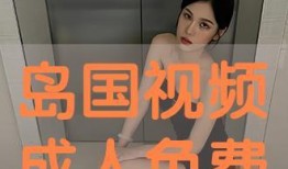 成人在线视频,内容、影响与伦理探讨